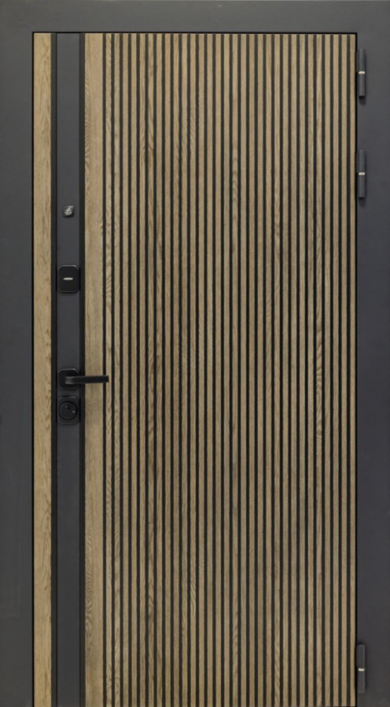 Входная дверь ДвериПРО Rosna Д-19 (16мм, Грецкий орех + черная патина винорит) DPRO196660 внешняя сторона