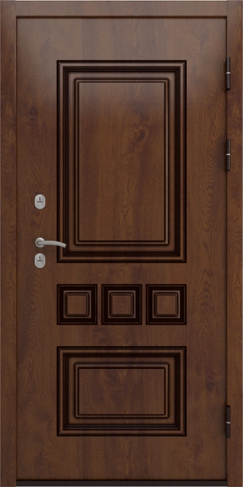 Входная дверь Аура Лаура (16мм, анегри 74) внешняя сторона